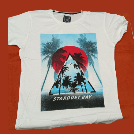 Rounded neck T-shirts 5 T-shirts Only 999/-