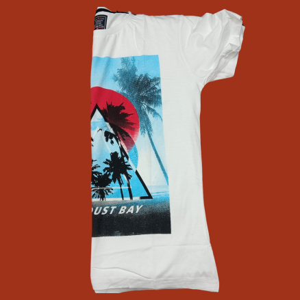 Rounded neck T-shirts 5 T-shirts Only 999/- - Image 2