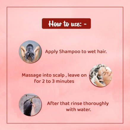skin recipe anti hairfall shampoo - Image 2